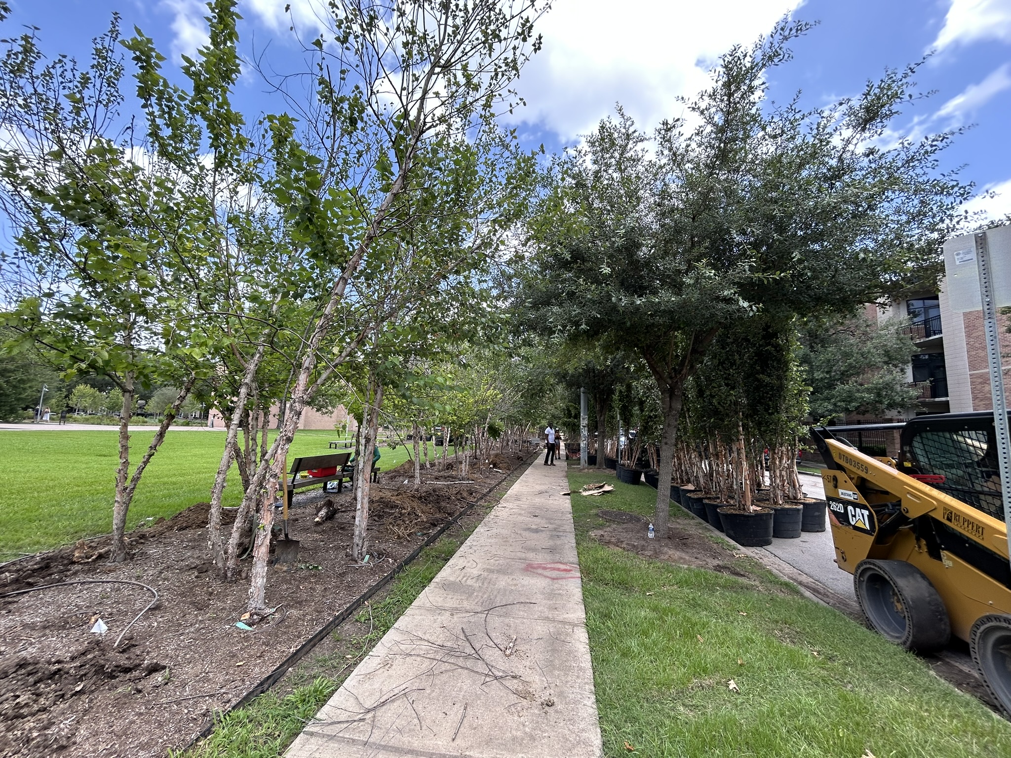 Rothko Chapel replanting project photo 6