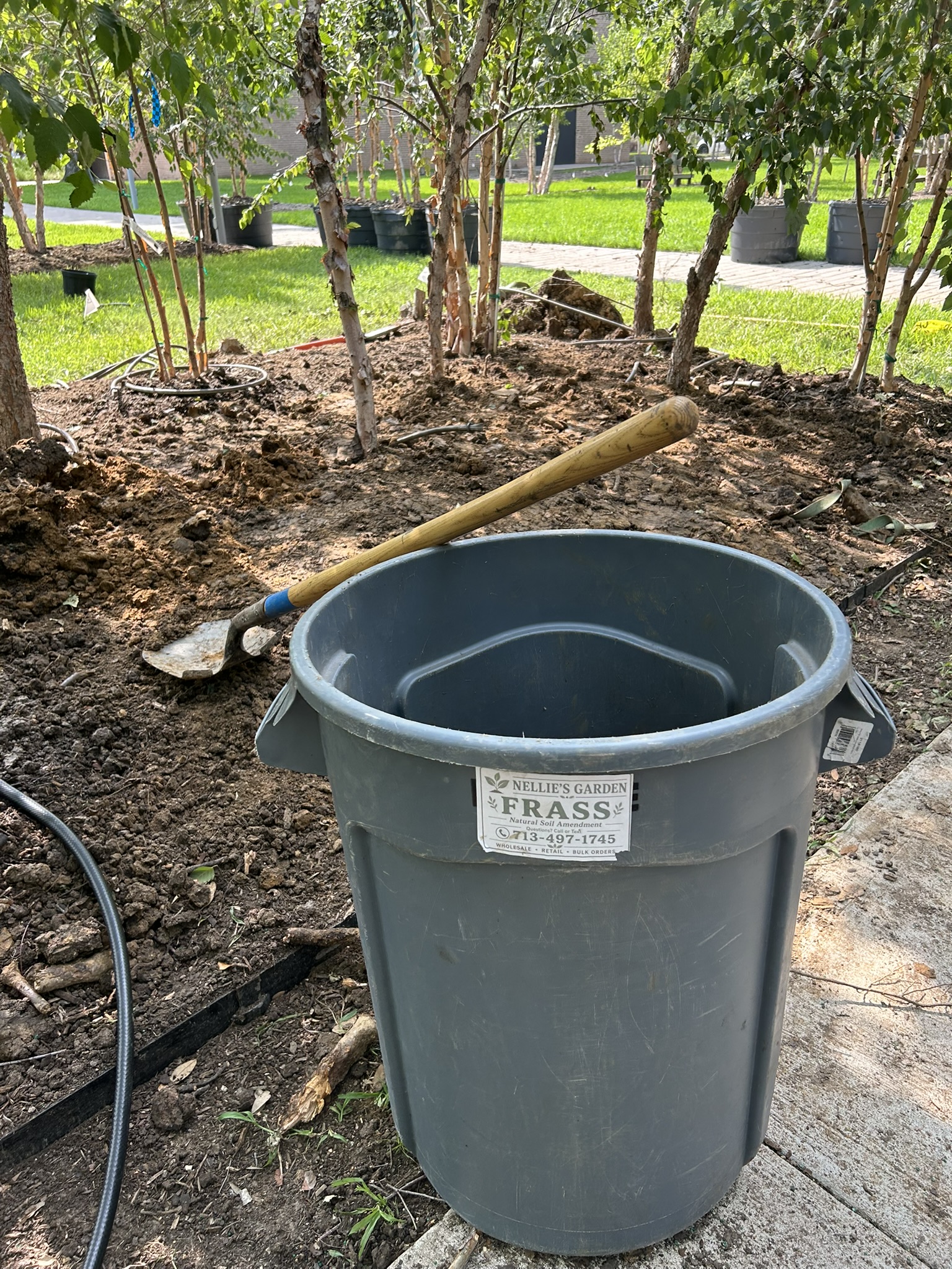 Rothko Chapel replanting project photo 8
