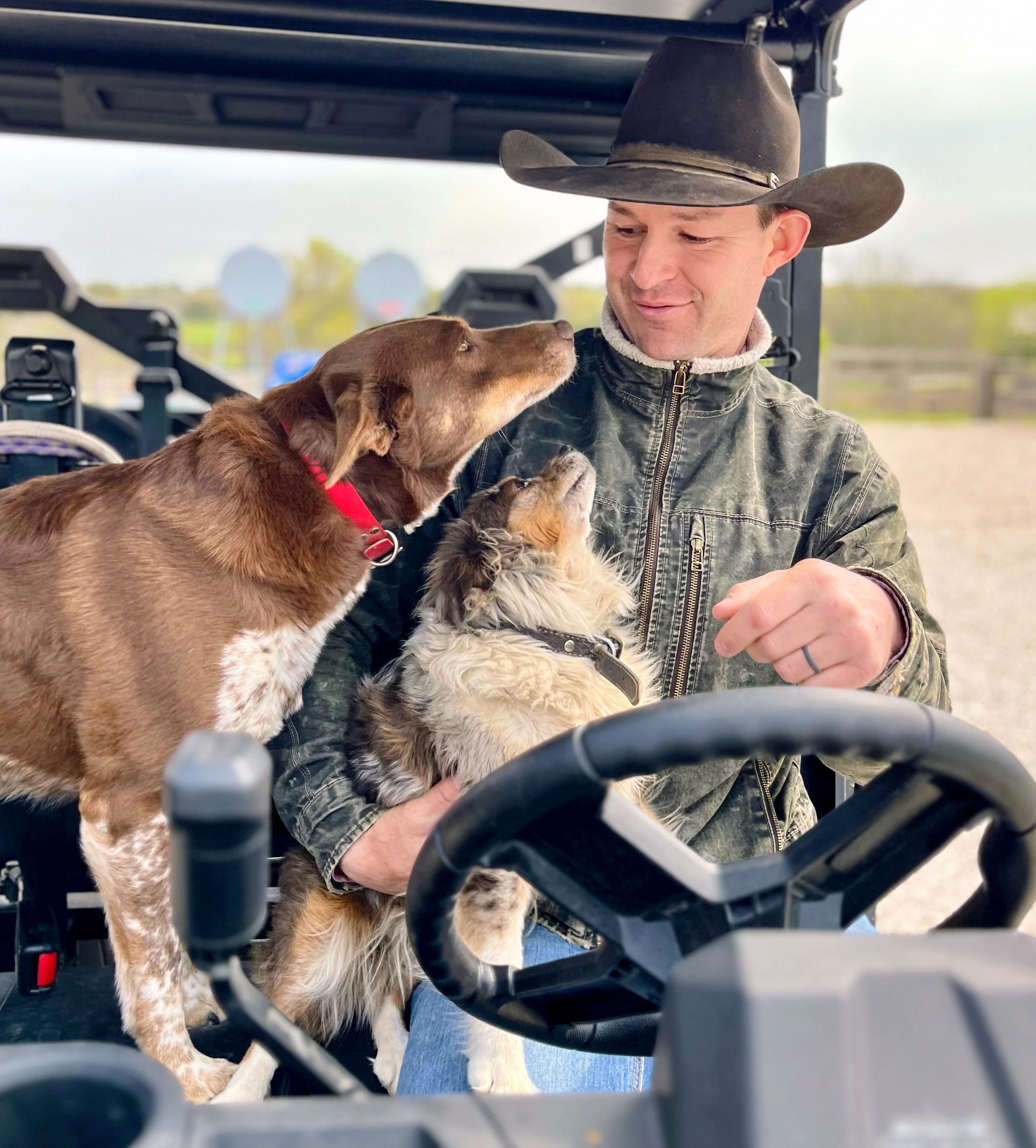 Ranch dogs keeping watch — working companions on the land