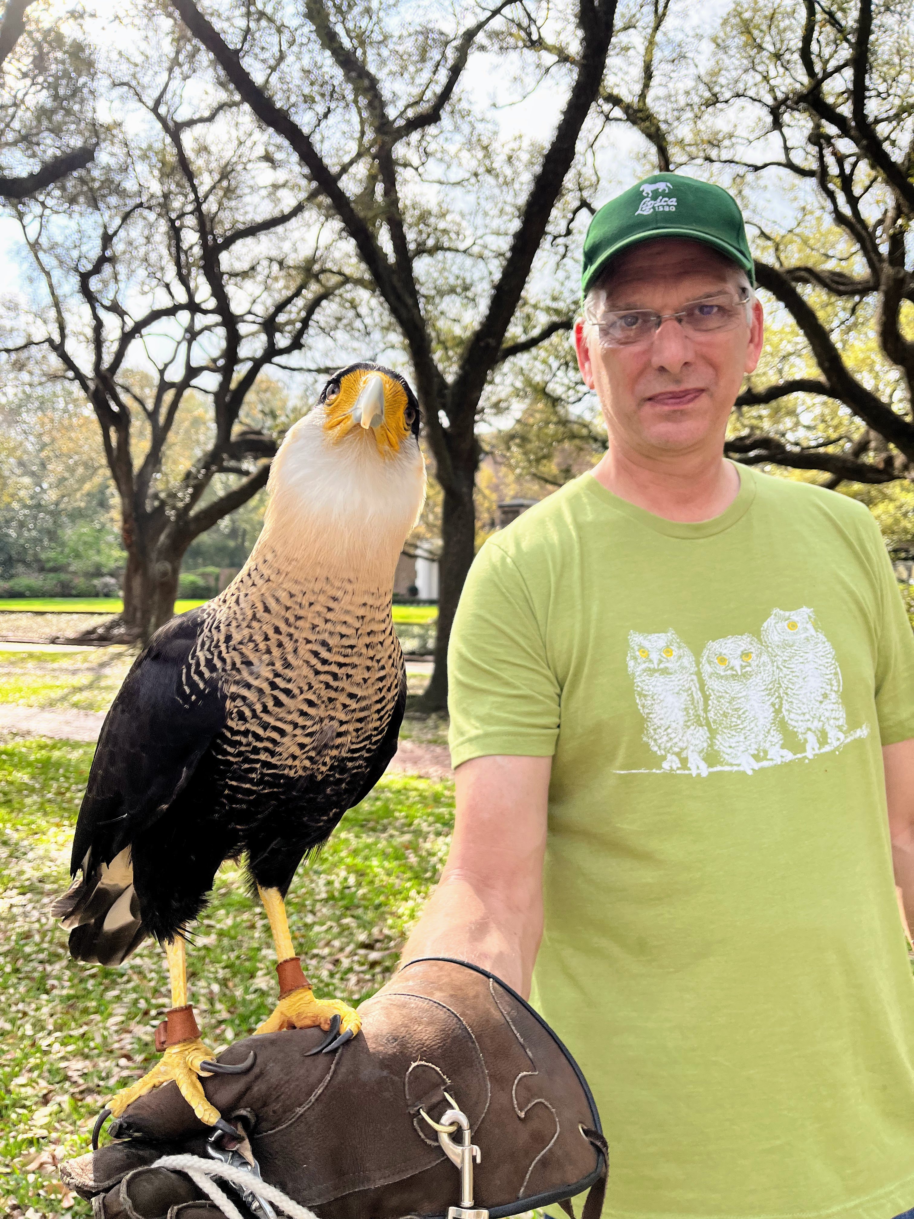 A bird perched on its handler's arm, trained through patience and mutual respect